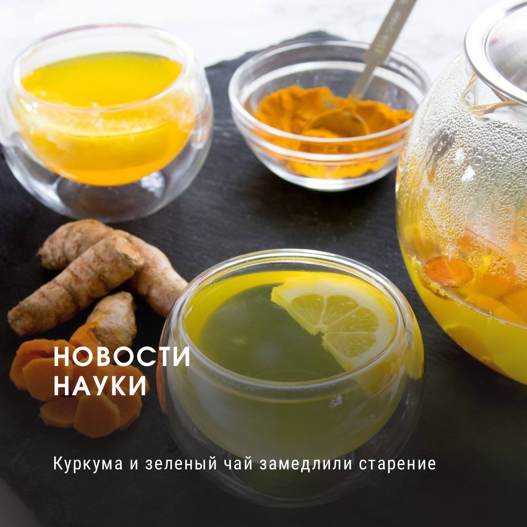 Куркума и зеленый чай замедлили старение    Новое исследование американских ученых проливает свет на потенциальную роль определенных продуктов питания в замедлении процесса старения на клеточном уровне. Несмотря на предупреждения о возможных побочных эффектах бесконтрольного употребления БАДов на основе куркумы и зеленого чая, ранее уже были известны их полезные свойства. Так, из куркумы разрабатывалось лекарство от рака, а зеленый чай демонстрировал способность увеличивать продолжительность жизни у мышей. Теперь же ученые решили изучить, как рацион влияет на эпигенетическое старение человека.    В рамках восьминедельной программы исследователи наблюдали за группой здоровых мужчин в возрасте от 50 до 72 лет. Участники придерживались преимущественно растительной диеты, богатой питательными веществами, а также следовали рекомендациям по сну и физической активности. Для оценки влияния такого рациона на старение клеток ученые анализировали метилирование ДНК – маркер, отражающий скорость биологического старения, используя эпигенетические часы Ховарта.    Результаты исследования показали, что у мужчин, чей рацион включал больше продуктов с так называемыми метиладаптогенами, такими как куркума, розмарин, чеснок, ягоды, зеленый чай и улун, наблюдалось более выраженное снижение эпигенетического возраста. При этом важно отметить, что на полученные данные не повлияли изменения в весе участников или их исходный клеточный возраст. Это позволило авторам сделать вывод о прямом влиянии перечисленных продуктов на процессы старения.    Предыдущие научные работы также подтверждают, что соединения, содержащиеся в метиладаптогенах, способны воздействовать на метилирование ДНК. Этот механизм, как предполагается, способствует здоровому старению, снижая риск развития сердечно-сосудистых заболеваний и когнитивных нарушений. Новое исследование, несмотря на ограниченную выборку, еще раз подчеркивает связь между растительным рационом, подобным средиземноморской и традиционной японской диетам, и более медленным биологическим старением, открывая перспективы для разработки практических стратегий поддержания здоровья с помощью питания.  Источник