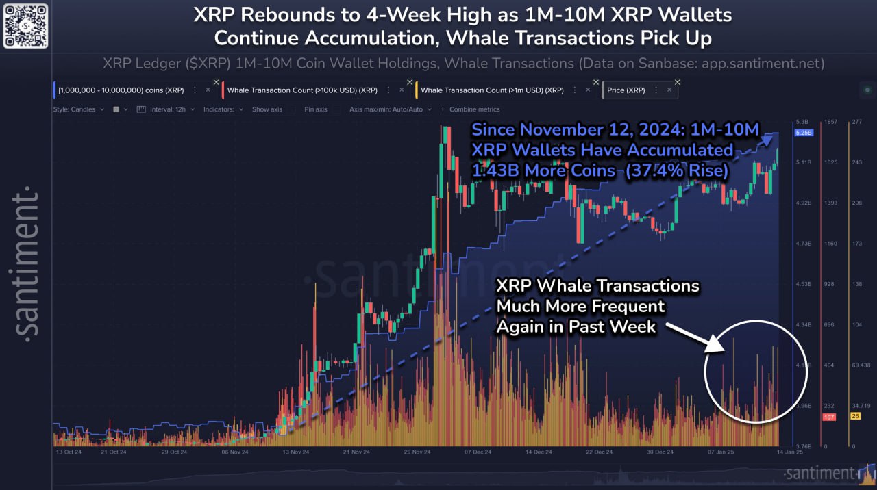 Киты купили 1,430,000,000 XRP  $3,8 млрд.  за 2 месяца!  Теперь XRP входит в топ-3 по рыночной капитализации.   Положительные судебные решения, активные разработки и недавно достигнутый 7-летний ценовой максимум вызывают оптимизм у трейдеров.    Курс «Как заработать 500$ новичку»   Закрытый Канал AGMI   Куда я инвестирую?   Биржи: OKX, ByBit, BingX