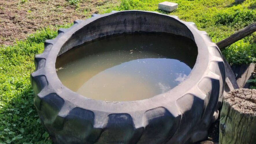 В Татарстане годовалый ребенок утонул в покрышке с водой Трагедия произошла в селе Ерыкла Нурлатского района. Годовалый мальчик погиб, упав в автомобильную покрышку, наполненную водой. По данным ГУ МЧС России по Республике Татарстан, ребенок остался на короткое время без присмотра взрослых. Именно в эти минуты и случилось несчастье — малыш упал в покрышку и утонул. Сейчас следователи выясняют все обстоятельства трагедии. Предстоит разобраться, как именно произошел несчастный случай и почему ребенок оказался без надзора. Набережные Челны Онлайн #НабережныеЧелны #Татарстан