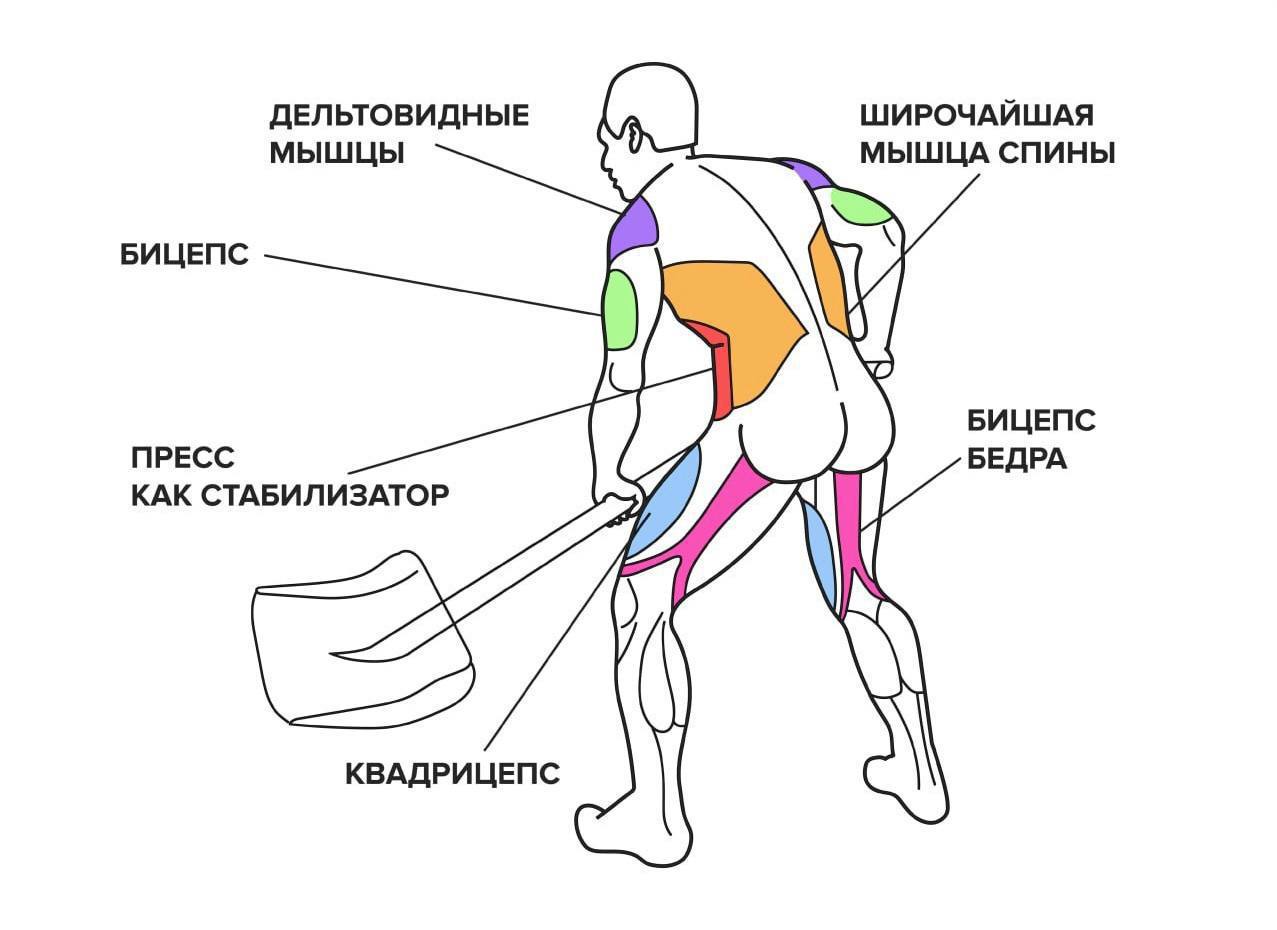 Актуальное напоминание для жителей Ивановской области и всей центральной России Уборка снега сжигает 550 калорий за час занятие моментально сгоняет жиры Час уборки снега можно сравнить круговой тренировкой средней интенсивности выполняются силовые движения повторяющиеся наклоны и приседания идет работа на выносливость Также все сопровождается терморегуляцией организма на холоде что усложняет занятие Если взглянуть на непогоду под другим углом то природа даёт отличную возможность для возвращения на работу без последствий праздничных застолий Не пропусти главные новости Telegram MAX