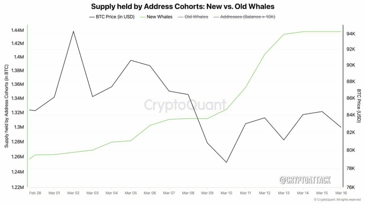 CQ: Темпы накопления #BTC новыми китами заметно ускорились в последние недели. За последний месяц они накопили >200 000 BTC.