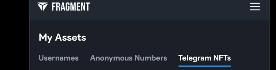 На платформе Fragment появилась новая вкладка для Telegram NFTs.   Пользователи смогут продавать коллекционные подарки, а в следующих этапах планируется внедрение NFT-стикеров, аватаров и других новинок.     PRO NFT