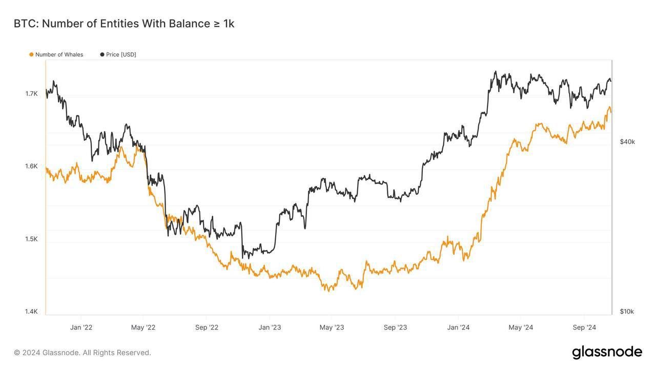 Количество BTC-китов достигло рекордных показателей с января 2021 года  На сегодняшний день зафиксировано 1678 кошельков, на балансе которых хранится более 1000 BTC.