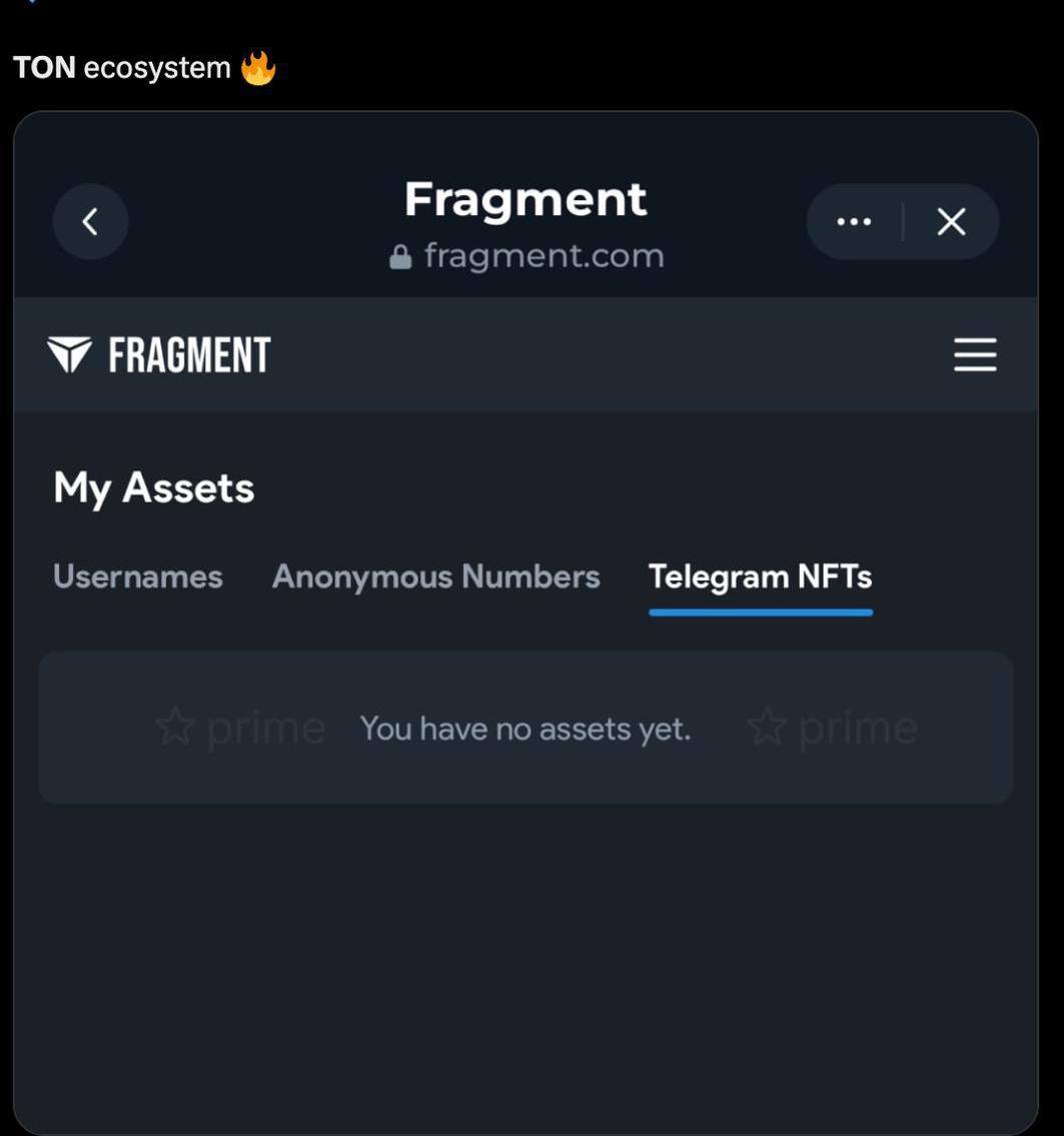 На платформе Fragment появилась новая вкладка для Telegram NFTs.   В ближайшее время пользователи смогут продавать коллекционные подарки, а в следующих этапах планируется внедрение NFT-стикеров, аватаров и других новинок.