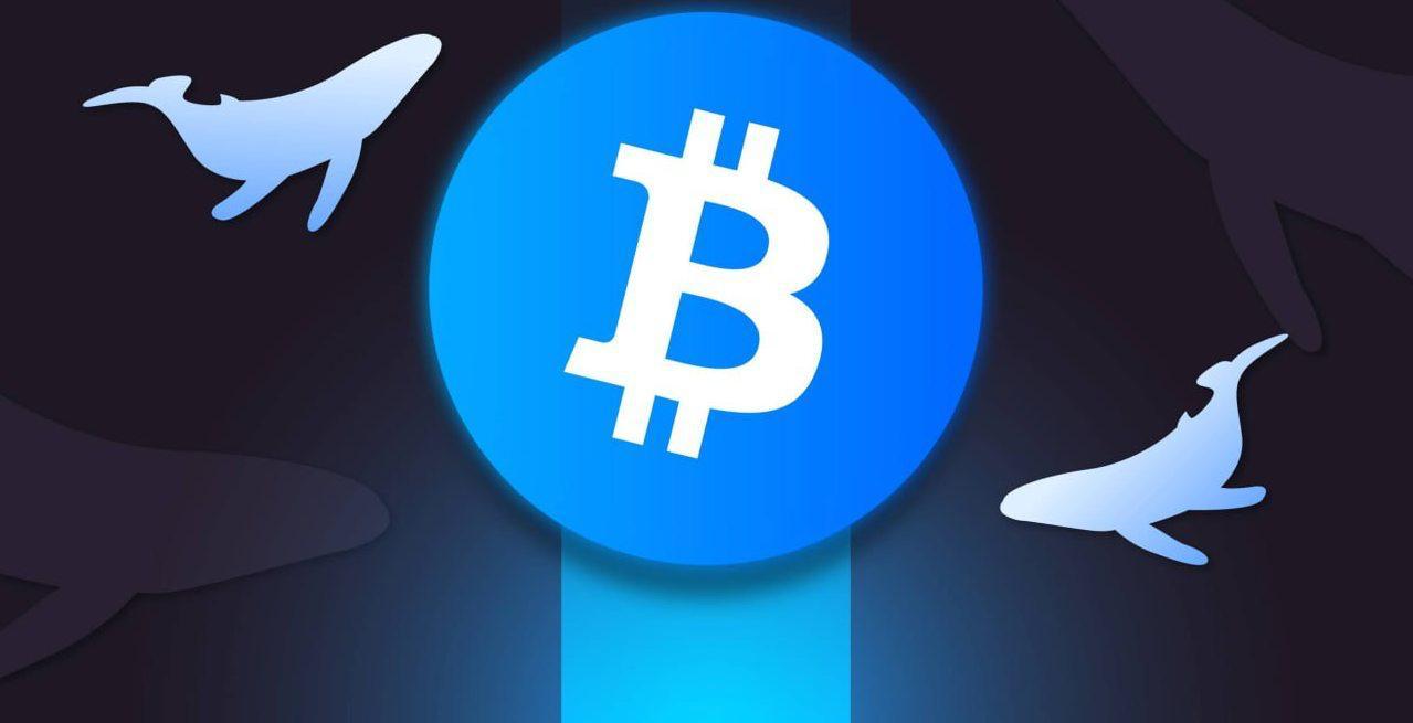 Биткоин-кит из прошлого вывел 18 343 BTC — часть ушла на Binance и Bybit Один из старейших адресов времён 2011 года вновь активизировался: переведено BTC на сумму $2,15 млрд. Переводы шли через Galaxy Digital — вероятно, в преддверии крупной распродажи. Торгуй криптовалютой на Bybit Крипто Стукач Подписаться