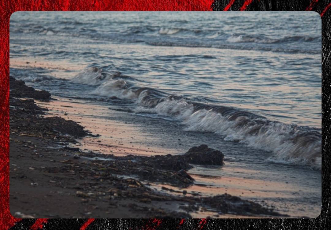 В собственность РФ возвращено около 1 ГА морского берега в Новороссийске Арбитражный суд Северо-Кавказского округа подтвердил судебное решение о признании отсутствующим права собственности ООО «Порт Виктория» на часть Волочаевского пляжа в Новороссийске под строительство терминала по перевалке зерна и металла в чушках. Об этом сообщает Генеральная прокуратура РФ. Прокуратура установила, что компания «Порт Виктория», используя аффилированных лиц, незаконно купила участок площадью около 1 га вдоль Восточного берега Цемесской бухты. Кассационный суд согласился с доводами Росимущества и прокуратуры, отметив, что спорный участок сформирован за счет территории общего пользования и частично входит в границы береговой полосы Черного моря. Приватизация таких участков не допускается. По данным «СПАРК-Интерфакс», ООО «Порт Виктория» зарегистрировано в Новороссийске в апреле 2019 года. Компания специализируется на вспомогательной деятельности, связанной с водным транспортом. Генеральным директором «Порта Виктория» является Руслан Лисовой, учредителями в равных долях — ООО «Порт Инвест» и Артем Колчекьян. Выручка по итогам 2023 года составила 7,3 млн руб., чистый убыток 2,1 млн руб. Предметом спора выступал земельный участок площадью 0,87 га между военной гаванью и ООО «БТОФ-Терминал». Территорию называют Волочаевский пляж — несанкционированное место отдыха жителей восточной части Новороссийска. Согласно материалам дела, в октябре 2021 года Росимущество подало иск к «Порту Виктория» о признании отсутствующего права собственности на земельный участок, но проиграло дело. В июле 2022 года была подана апелляционная жалоба, после чего начались судебные тяжбы. В июне 2023 года Верховный суд России отправил дело на новое рассмотрение. В апреле 2024 года Арбитражный суд Краснодарского края АСКК удовлетворил иск межрегионального управления Росимущества к ООО «Порт Виктория». В конце 2024 года компания «Порт Виктория» в очередной раз попыталась обжаловать судебные решения о признании отсутствующим права собственности на Волочаевский пляж. Новоросич • Новороссийск