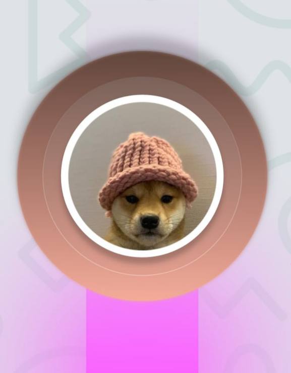 Dogwifhat: шапка из мема обошлась в 6,8 BTC  На Ord City завершился аукцион розовой шапки, прославившейся благодаря мемкоину Dogwifhat.   Цена — $794 700  6,8 BTC . Лот купил Finn — создатель проекта BAGS в Solana. Финансирование шло как из его кармана, так и с комиссии токена Buy the Hat, выпущенного под эту сделку.  Шапка принадлежала сиба-ину Ачи и впервые появилась в 2018 году на фото, ставшем мемом.   Finn обещает вернуть её в криптосообщество.  Крипто Стукач на Bybit
