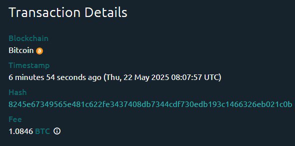 Пользователь заплатил комиссию в размере 1.1 BTC $120 000 за транзакцию.