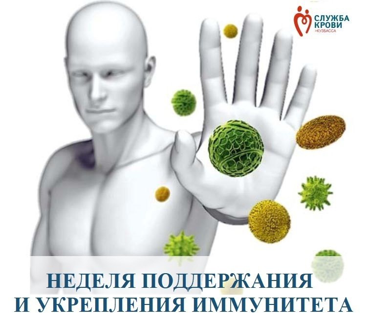 Организм защищён от различных инфекций благодаря работе иммунной системы. Если в организме появляются клетки, которые отличаются от обычных, иммунная система включает защиту. Она противостоит внешним воздействиям и делает так, чтобы организм не заразился.    Иммунитет напрямую зависит от того, что мы едим. Белки дают нам аминокислоты, которые нужны для производства антител и других защитных клеток. Жиры помогают строить иммунные клетки, а углеводы дают энергию для работы иммунитета.    В случае, когда организм не получает необходимого количества питательных веществ, он становится более уязвимым для различных болезней. Это доказано исследованиями.