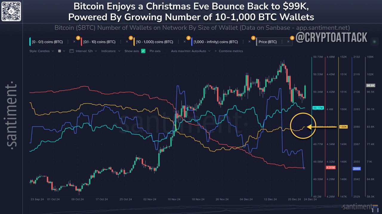 Santiment: Трейдеры накапливают #BTC. Вот количество кошельков BTC по размеру: - 0-0,1 BTC: 50,17 млн - ​​0,1-10 BTC: 4,31 млн - 10-1000 BTC: 150,13 тыс. - 1000+ BTC: 2050  Бычий рынок с высокой вероятностью будет продолжаться, пока последние 2 группы будут расти и накапливать, как это было в течение 2024 года.