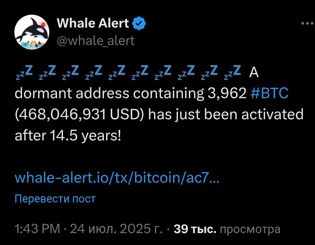 Спустя 14 лет проснулся очередной Bitcoin-кит — на его кошельке хранятся 3962 BTC $468 000 000 .
