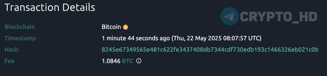 FAIL: Кто-то заплатил комиссию в размере 1,1 BTC 120,381$ за одну транзакцию. Crypto Headlines