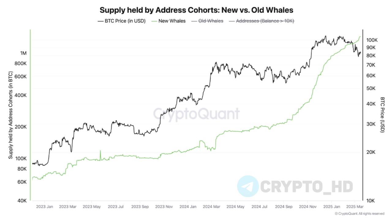 #ончейн   CryptoQuant: «Новые киты» купили более 200,000 BTC  $16,3B  за последний месяц.  Речь о кошельках с балансом > 1,000 BTC, которые инвестируют в Биткоин менее 6 месяцев.   Crypto Headlines