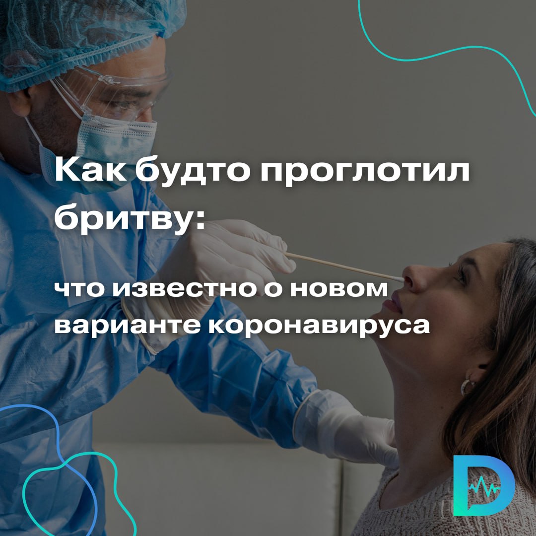 Новый опасный вариант COVID-19 активно распространяется по миру. Штамм NB.1.8.1 также известен под неофициальным именем Nimbus. По предварительным данным, вирус эффективнее прикрепляется к клеткам человека, чем другие циркулирующие штаммы, а значит, распространяется быстрее. Именно этим, по словам экспертов, объясняется его широкая география: случаи заражения NB.1.8.1 уже зафиксированы в десятках стран мира. Отличительный симптом этого варианта — сильнейшая боль в горле. Пациенты описывают её как «ощущение бритвы внутри»: невозможно говорить, есть, а иногда даже спать. Несмотря на это, Всемирная организация здравоохранения пока классифицирует Nimbus как «вариант, находящийся под наблюдением» и отмечает: доказательств того, что он вызывает более тяжёлое течение болезни, чем другие варианты, пока нет. По словам профессора Анчи Барановой, говорить о новой волне COVID-19 ещё рано, но полностью исключать такую возможность не стоит. Не люблю каркать, но у нас, скорее всего, будет летняя волна, — предполагает профессор. — Ковид не особо связан с сезонностью, и это наше обычное «Летом мы ничем не заболеем» может быть неправильным. Во многих местах сейчас уже жарко, а в некоторых — всегда жарко. Например, в Сингапуре и Гонконге. Это прекрасные места, куда люди достаточно часто летают. Сингапур — огромный хаб, через него летают в Японию и из Японии; Гонконг — одни из мировых входных ворот в Китай. Распространение у нас будет. Правда, штамм пока встречается редко, а потому долю, занимаемую этим штаммом по сравнению с другими вирусными вариантами, в настоящий момент определить невозможно. В России случаи заражения новым вариантом зафиксированы ещё в конце мая. Глава Роспотребнадзора Анна Попова сообщила, что все существующие тест-системы способны выявлять этот подтип коронавируса, а эпидемиологический надзор продолжается в усиленном режиме. «Доктор Питер». Доступно и достоверно о здоровье