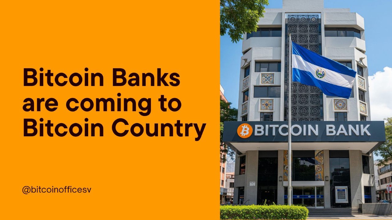 В Сальвадоре создадут первые в своем роде «Bitcoin-банки» — в стране уже приняли закон, разрешающий предлагать банковские услуги, полностью деноминированные в BTC.