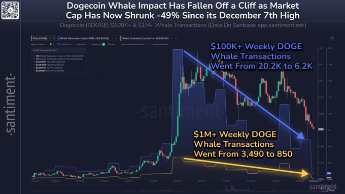 Dogecoin обвалился за два месяца на 49%    DOGE начал неделю на уровне $0,2519, его капитализация за сутки снизилась на 1,90% до $37,523 млрд. С 7 декабря мемкоин потерял 49%, а активность китов резко ослабла. Количество крупных сделок упало почти в три раза.    В ноябре, после победы Трампа, китовая активность была на пике, а в декабре DOGE достиг $0,4672. Сейчас аналитики считают, что рост возможен только при увеличении крупных покупок.    XRP также под давлением — за неделю он потерял 25,7%, опустившись до $2,43. Зона поддержки находится в районе $2,30.    Фьючерсные позиции на XRP сократились на 37%, но финансирование бессрочных свопов остается нейтральным — трейдеры пока не исключают смену тренда.    Сейчас доминируют медвежьи настроения, так как большинство инвесторов не верит в быстрое завершение судебного процесса против Ripple. Кроме того, эксперты сомневаются, что в США скоро появятся спотовые ETF на этот альткоин.  #Dogecoin #Криптовалюты #Аналитика