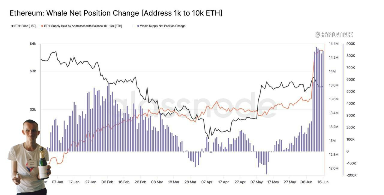 #ETH Glassnode: В течение почти недели ежедневное накопление китами ETH превышало 800 тыс #ETH. Только 12 июня киты добавили >871 тыс ETH - самый высокий ежедневный чистый приток. Такие крупные покупки не наблюдались с 2017 года.