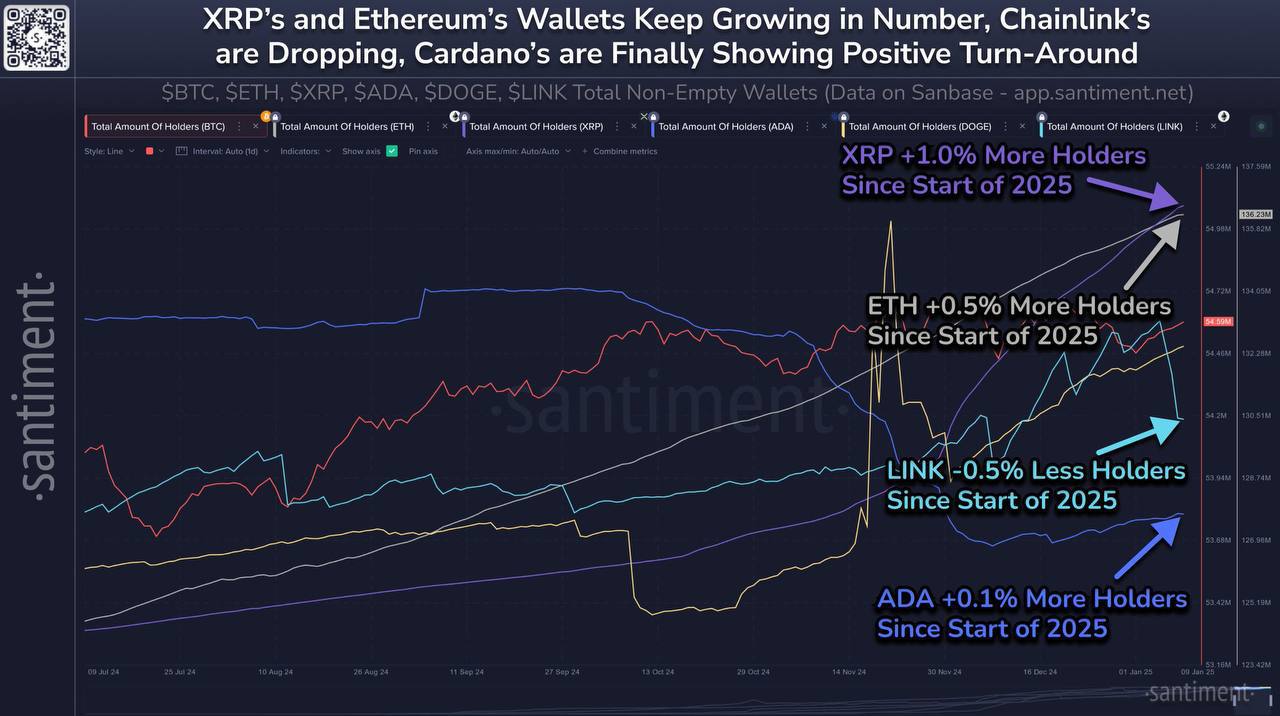 Santiment: 2025 год начался с резких скачков цен на основные криптовалюты, а количество кошельков в новом году сильно колеблется:  BTC: +102K кошельков ETH: +645K кошельков XRP: +58K кошельков Cardano ADA: +2.8K кошельков DOGE: +29K кошельков Chainlink LINK: -3.3K кошельков    Если кошельки быстро растут, значит, сообщество уверено в долгосрочности проекта. Если кошельки падают, возможно, существует избыток FUD, который указывает на возможность покупки  как противоположность паникующей толпе .