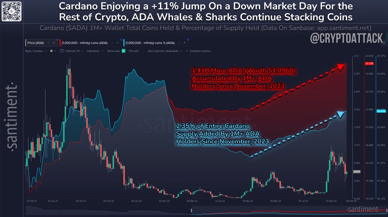 Santiment: кошельки, хранящие не менее 1 млн #ADA, постоянно накапливают с конца ноября 2023 года, добавив 1,41 млрд ADA, 2,35% от всего предложения, за этот 15-месячный отрезок времени. Несмотря на всю волатильность, цена ADA выросла на +107% с начала этого цикла накопления.