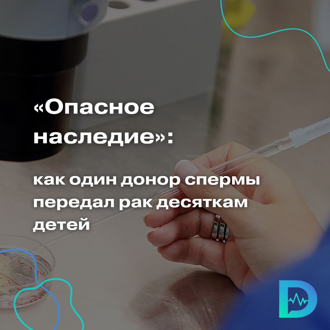 В Европе разгорается громкий скандал: донор спермы, не знавший о наличии у себя редкой генетической мутации, стал биологическим отцом по меньшей мере 67 детей в восьми странах. У десятерых уже диагностировали рак, включая опухоли мозга и лимфомы. У ещё 17 детей выявлена та же мутация, но пока без признаков болезни. Эти данные были представлены на конференции Европейского общества генетики человека в Милане. Речь идёт о мутации в гене TP53, которая вызывает синдром Ли-Фраумени. Это редкое наследственное заболевание, связанное с высоким риском развития рака в молодом возрасте. Его носители могут заболеть в детстве, и часто сразу несколькими видами рака. Проблема в том, что на момент сдачи спермы в 2008 году в Дании тесты на подобные мутации попросту не проводились. Донор и сам чувствует себя здоровым — вероятно, у него мозаичная форма мутации, при которой генетическая ошибка есть только в части клеток. История вызвала резонанс и поставила под сомнение существующие подходы к контролю в сфере репродуктивных технологий. Как быть в случаях, когда опасные мутации в сперме обнаруживаются только десятилетия спустя, как предупредить всех родившихся, кто отвечает за проблему — в целом решительно неясно. Банки спермы почти всегда ограничивают количество родившихся от одного донора в одной стране или районе, но стран много, банков много, не все оплодотворения даже идут через банки, и не все страны ограничивают искусственное оплодотворение иностранок спермой одного и того же донора, — комментирует новость учёный-генетик Дмитрий Прусс. Специалисты призывают срочно ужесточить правила: ввести международные ограничения на число детей от одного донора, внедрить обязательный скрининг и улучшить обратную связь между клиниками и семьями. «Доктор Питер». Доступно и достоверно о здоровье