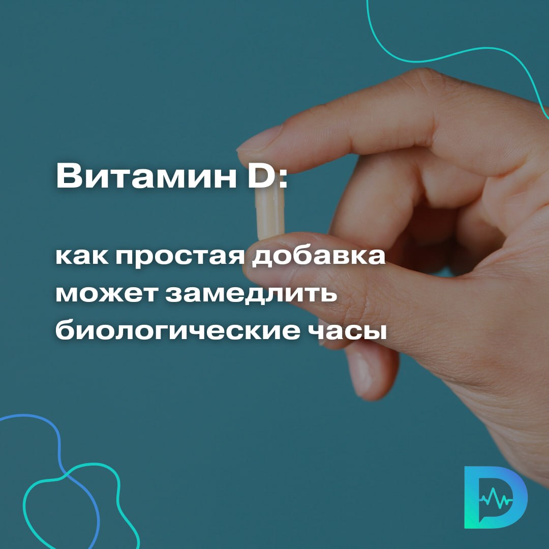 Новое исследование американских учёных показало, что регулярный приём витамина D может реально замедлять старение организма И речь не о коже или морщинах, а о теломерах — хвостиках наших хромосом, которые укорачиваются с возрастом и при хронических заболеваниях. Чем они короче — тем выше риски для здоровья и тем быстрее стареют клетки. В исследовании приняли участие более тысячи человек из масштабного проекта VITAL. Участников наблюдали четыре года, замеры произвели в начале, через 2 года и в конце. Те, кто ежедневно принимал по 2000 международных единиц витамина D₃, теряли теломерную длину значительно медленнее, чем те, кто получал плацебо. По расчётам учёных, участники «выиграли» три года биологического возраста. Добавка омега-3 жирных кислот, которую также тестировали в исследовании, на длину теломер существенного влияния не оказала. По словам ведущего автора исследования, молекулярного генетика Хайдуна Чжу, витамин D, вероятно, помогает за счёт снижения окислительного стресса — одного из ключевых факторов старения клеток. Однако, подчёркивают учёные, для окончательных выводов нужны дальнейшие исследования. Тем не менее, этот результат даёт серьёзный повод пересмотреть роль витамина D не только в поддержании иммунитета, но и в замедлении старения на уровне ДНК. «Доктор Питер». Доступно и достоверно о здоровье