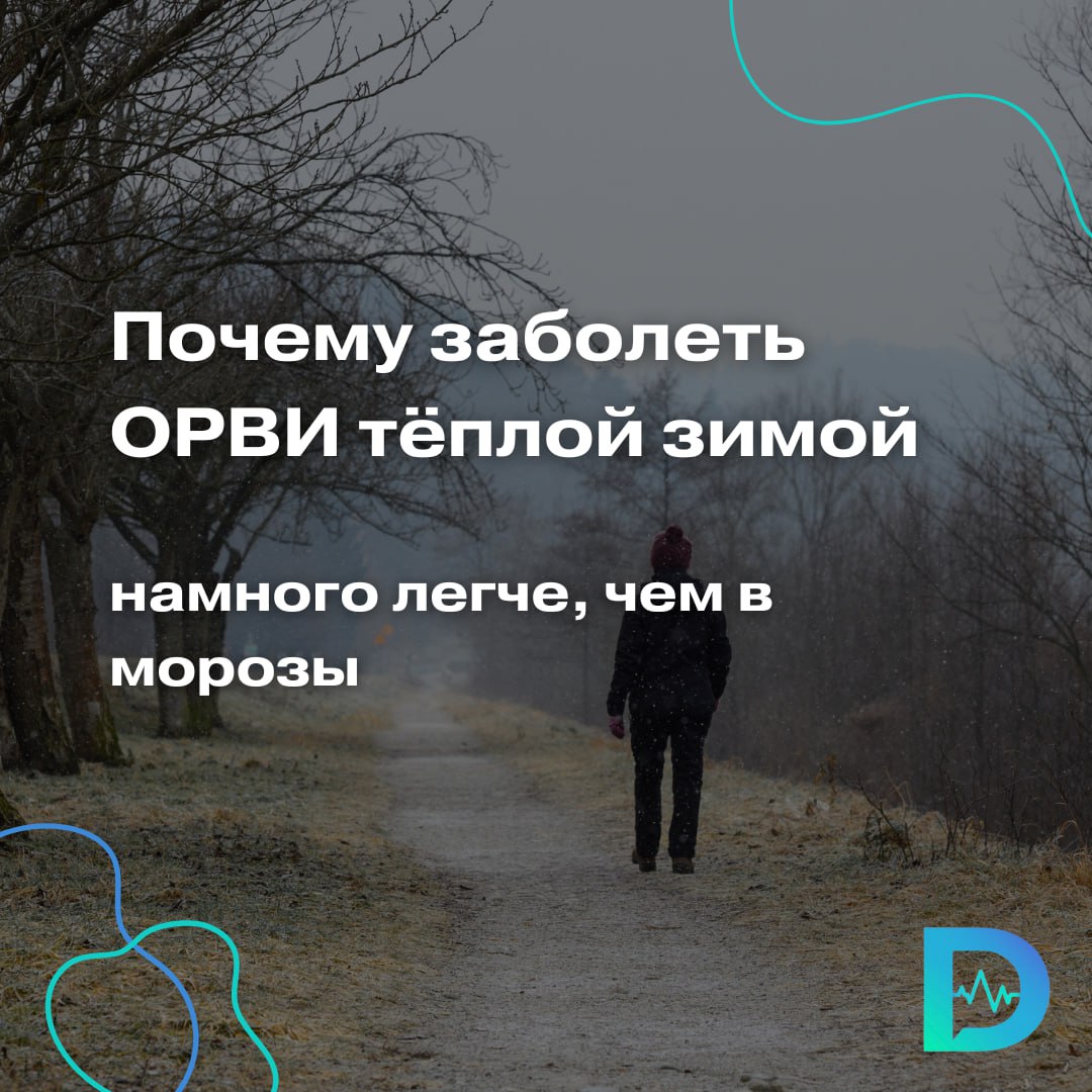 Обычно заболеваемость ОРВИ и гриппом и так всегда растет в ноябре–декабре. Это понятно: начинаются массовые мероприятия, подготовка к Новому году, корпоративы. Однако в этом году, по мнению врача-инфекциониста Андрея Позднякова, рост обещает быть выше обычного — всё из-за теплой зимы.  В холодные зимы, когда температура за окном опускается ниже -20 градусов, заболеваемость респираторными инфекциями действительно ниже.  Сами вирусы не все устойчивы к низким температурам, и часть из них на морозе инактивируется быстрее. Для вирусов самая оптимальная температура, при которой они сохраняются, — от -10 до +10 градусов. При такой температуре они сохраняются во внешней среде на разных поверхностях — соответственно, возможность инфицироваться ими контактным путём выше, — объясняет специалист.    По словам эксперта, есть и другие причины, почему подхватить простуду в тёплую зиму проще, чем в холодную.    Из-за влажности воздуха выше передача инфекции воздушно-капельным путём. При температуре -15 градусов и ниже воздух становится суше, поэтому не возникает аэрозолей, и передача воздушно-капельным путём снижается в силу сухости воздуха.    Люди более активны в передвижении. В холода же многие предпочитают сидеть дома, поэтому общественные места становятся не столь многолюдными.    Чаще случается перегрев в тёплой одежде и последующее переохлаждение, когда людям становится жарко и они раскрываются. Перепад температуры может вызвать активацию условно-патогенной флоры, которая постоянно живёт в ротоглотке, и, как следствие, обострение хронических заболеваний либо острую респираторную инфекцию. Если туда же попали в данный момент вирусы, им становится проще жить.  Но на заболеваемости коронавирусной инфекцией тёплая зима вряд ли скажется, считает эксперт. По словам инфекциониста, этот вирус переносит достаточно широкий диапазон температур и примерно одинаково распространяется при любых погодных условиях.  «Доктор Питер». Доступно и достоверно о здоровье