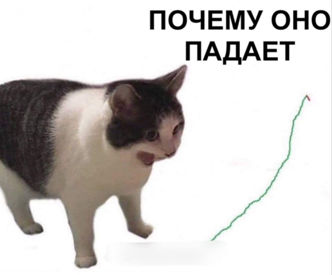 Новые криптоинвесторы, которые купили биткоин по 99 тысяч на прошлой неделе:   Краткосрочное падение биткоина спровоцировало распродажу среди держателей, которые в последние 24 часа продали 54 600 BTC с убытком, отправив их на биржи.   Признавайтесь, это вы продаете ?    ‍ Не не это не мы  Ну может чуть чуть   Псевдо Аналитик