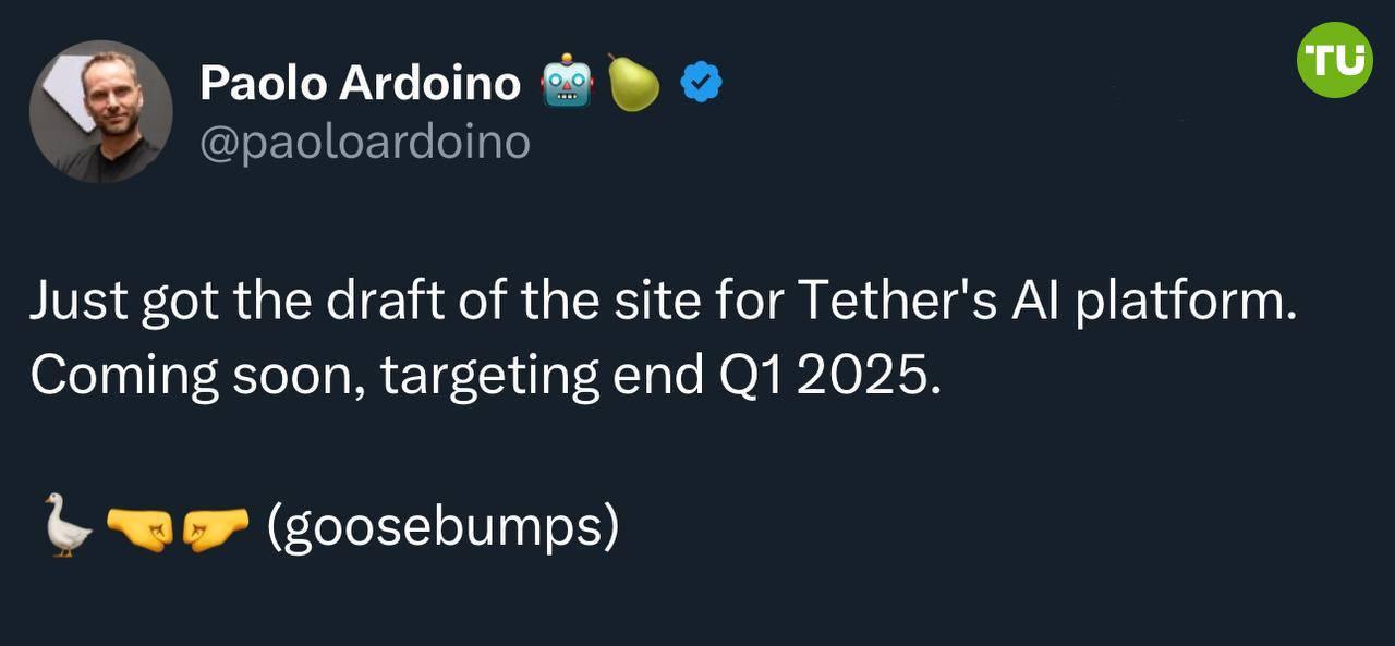 Tether запустит  ИИ-платформу  В компании сообщили, что сайт для  для ИИ-платформы уже готовится к запуску - его планируют запустить в первом квартале 2025 года.  Tether и ИИ - должно быть интересно.
