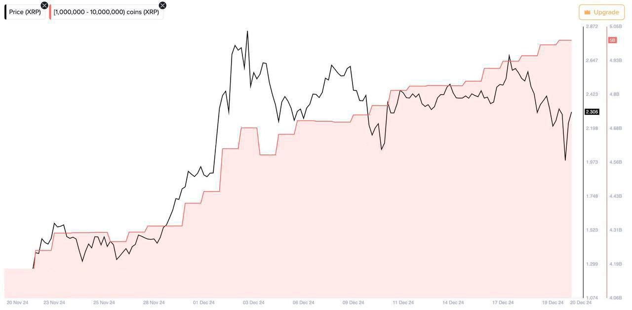 Китовые откупы по XRP не утихают  Начиная с 17 декабря по сегодняшний день, крупные холдеры XRP докупились в общей сложности на $194 млн!  Киты данной монеты активно пользуются моментом просадки, для наращивания своих позиции, по «скидочным» отметкам.   После осуществление текущего отката  вплоть до $2 , ожидаю увидеть дальнейший выход актива к $3+. Все факторы говорят нам именно об этом предстоящем импульсе…