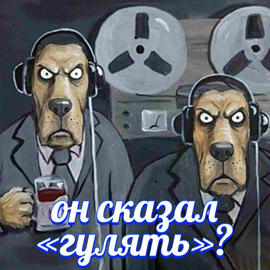 Собаки умеют ПОДСЛУШИВАТЬ людей новое исследование Венгерские учёные выяснили что псы демонстрируют навыки годовалых детей Они могут запоминать названия новых игрушек без дрессировки просто слушая разговоры хозяев Следите за языком собачники