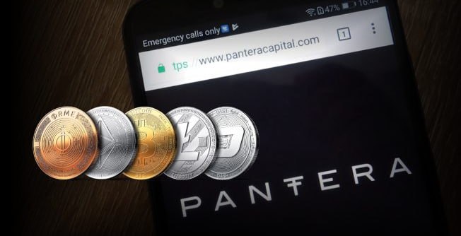 Фонд Pantera Capital вложил «значительные средства» в токены TON, SOL и ONDO.   Генеральный директор Pantera Capital прогнозирует рост крипторынка в 2025 году.