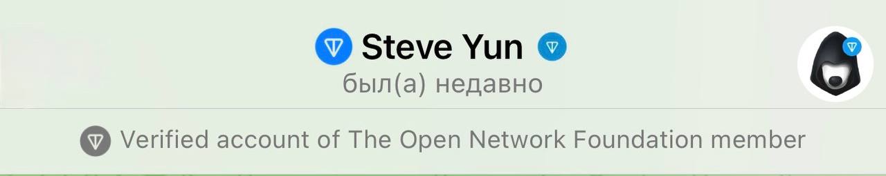 Новая «левая» верификация:  сотрудники TON Foundation получили собственный значок рядом с именем.  Появился и бот для верификации:    не работает, делать там пока нечего