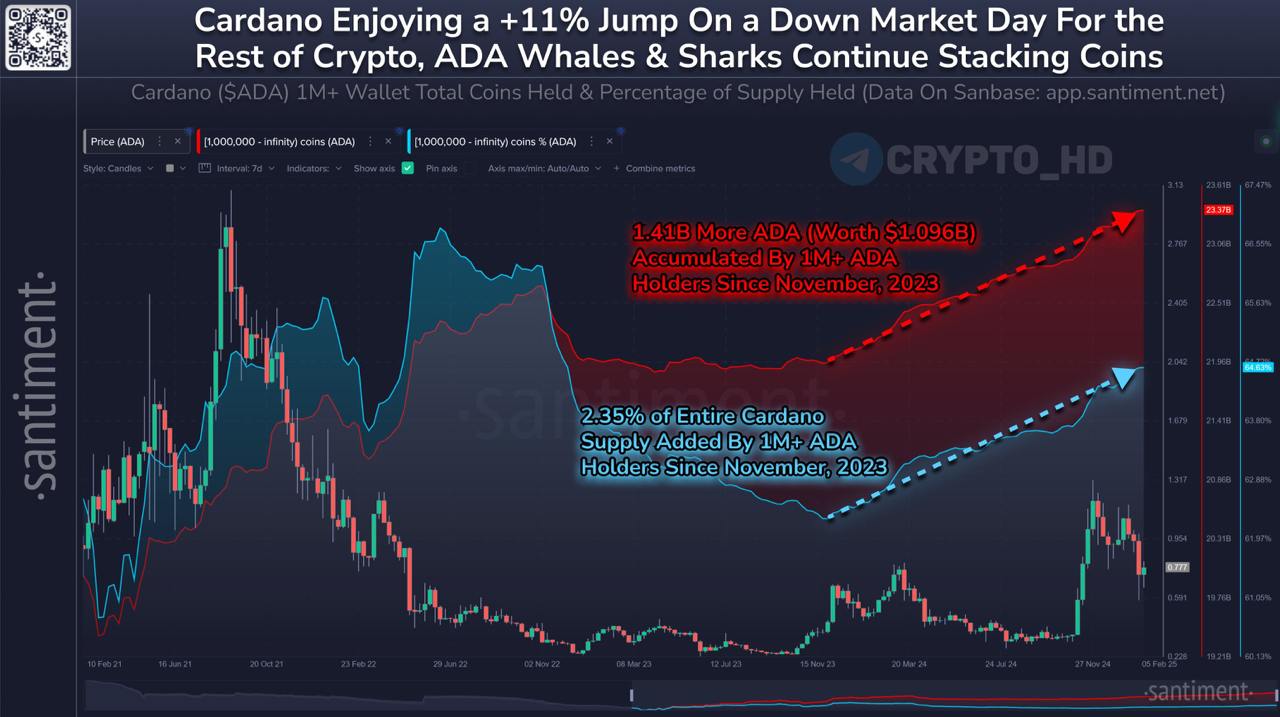 #ada #ончейн   Santiment: Крупные инвесторы накапливают ADA  Cardano  — кошельки, на которых хранится 1,000,000+ ADA, постоянно покупают токен с ноября 2023 года.  ADA и BTC в ТОПе обсуждений в социальных сетях  twitter   Ранее: дорожная карта Cardano  Crypto Headlines