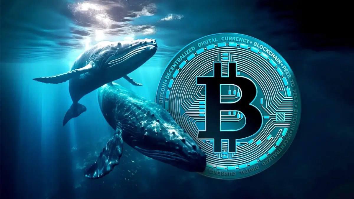 ⏺ BTC в опасности? Крупные держатели продолжают распродажу Киты медленно, но верно выходят из позиции: минус 500K BTC за год. Пока их монеты поглощают фонды, но если спрос от институционалов ослабеет — рынок ждет обвал. Начни торговать криптовалютой на Bybit Крипто Вестник Подписаться