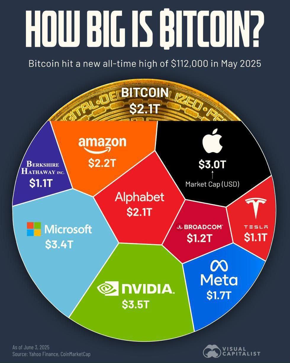 Капитализация BTC в сравнении с крупнейшими компаниями в мире