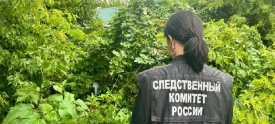 Дети съели неизвестные ягоды и попали в больницу   24 июня трое детей  два мальчика — 2 и 7 лет, и девочка — 9 лет  ели неизвестные ягоды во время прогулки.  Уже на следующий день у них появились рвота и признаки отравления, но медицинскую помощь вызвали только спустя сутки. Как выяснилось, мать детей находилась в роддоме — она недавно родила шестого ребенка.  Предварительно установлено, что только 26 июня 2025 года трое малолетних детей госпитализированы в медицинское учреждение с признаками отравления из дома.  Как стало известно позднее, в ночь на 28 июня умер 7-летний мальчик так и не придя в сознание. Девочка остается в тяжелом состоянии.
