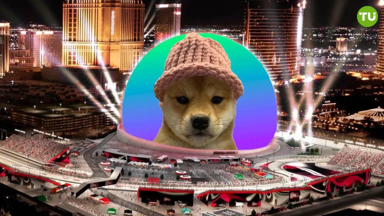 ‼  Шапку из мемкоина Dogwifhat продали за 6,8 BTC    Розовую шапочку, связанную в 2018 году для щенка Ачи породы сиба-ину, ставшего символом мемкоина Dogwifhat, продали почти за $800 000  6,8 BTC .     Покупатель – основатель проекта BAGS на базе Solana – Finn, заявил, что сделал это от имени платформы.     Шапку выставили на площадке Ord City 5 августа 2025 года.     Ранее оригинальное фото с Ачи формата NFT было продано за $4,3 млн.