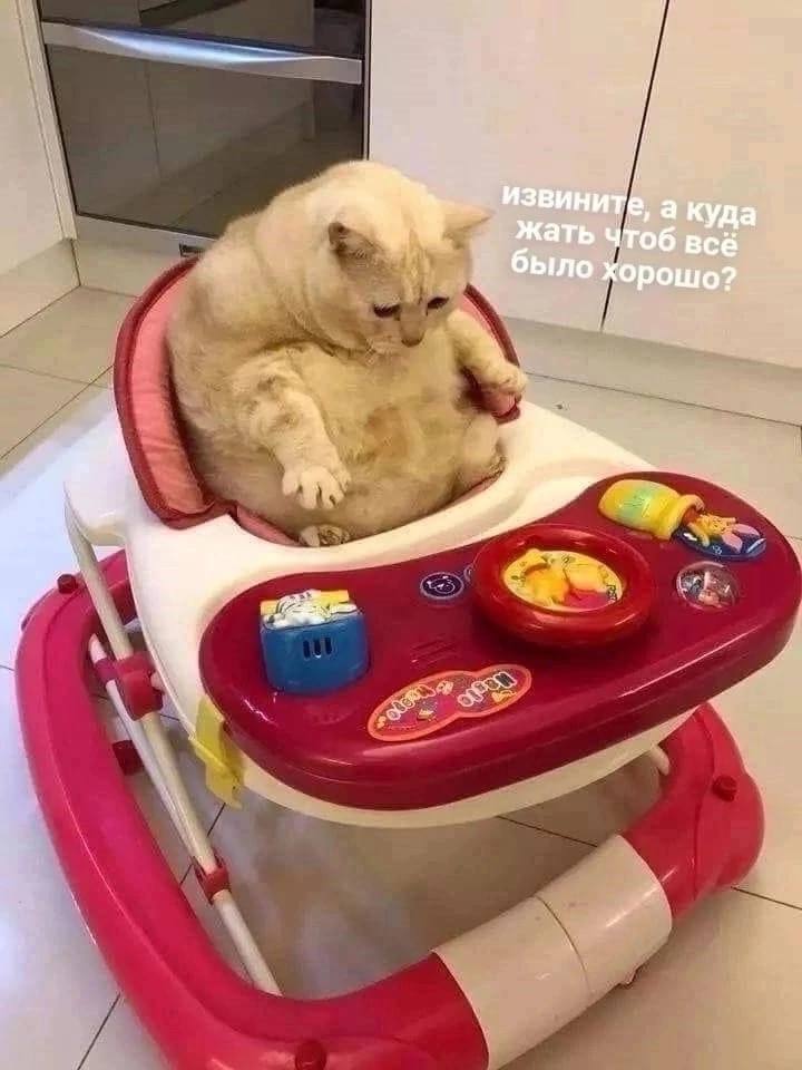 И опять про еду - ученые из Гарварда в ходе 30-летнего исследования определили как надо питаться, чтобы к 70 годам быть без хронических заболеваний и сохранить хорошую умственную и физическую форму Новое исследование подробно описало группы продуктов, которые повышают вероятность здорового старения, и определило лучшую диету в целом. Спойлер - опять ничего нового ДА ЧТО Ж ТАКОЕ-ТО, НЕУЖЕЛИ ОПЯТЬ НЕ ПЯТЫЙ СТОЛ? Альтернативный индекс здорового питания AHEI занял первое место среди восьми изученных здоровых моделей питания. Конкурент средиземноморской диете, не иначе. Что входит в этот индекс здорового питания? Фрукты Овощи Цельнозерновые культуры Орехи Бобовые Полезные жиры, в том числе, нежирные молочные продукты Диета также сводит к минимуму употребление красного и обработанного мяса, сладких напитков и соли. И еще интересно, что сами ученые пишут: "Результаты исследования показывают, что не существует универсальной диеты, любую здоровую диету можно адаптировать к индивидуальным потребностям и предпочтениям". По сути, эти же основные компоненты входят и в другие рациональные диеты, отличия не очень-то и значимые: в средиземноморской диете, например, сделан акцент на основные средиземноморские продукты оливковое масло, рыба и орехи , в DASH диете - ограничение натрия для контроля артериального давления, в MIND диете подчеркивается преимущество ягод. Вывод: более высокое потребление фруктов, цельного зерна, овощей, добавленных ненасыщенных жиров, орехов, бобовых и нежирных молочных продуктов было связано с более высокими шансами на здоровое старение. Соответственно, более высокое потребление трансжиров, натрия, общего мяса, красного и обработанного мяса было связано с более низкими шансами. Дополнительное потребление ненасыщенных жиров, включая полиненасыщенные жирные кислоты, было особенно связано с дожитием до возраста 70 лет и сохранными физическими и когнитивными функциями.