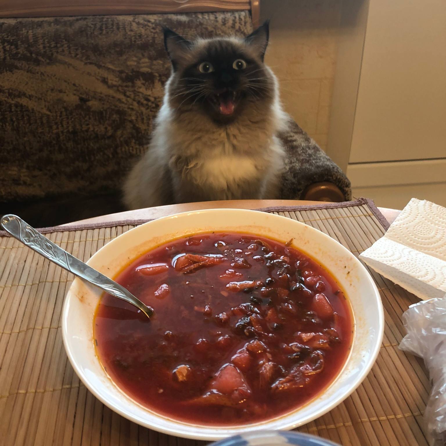 Сегодня в России отмечают День борща Главное блюдо русской кухни сегодня в центре внимания   media