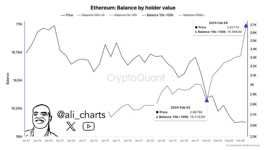 Киты за неделю приобрели более 600 000 ETH Эфир в четверг утром подскакивал выше $2 700, но затем скорректировался до $2 670. За неделю его капитализация упала на 5,73% до $322,86 млрд. Крупные держатели воспользовались просадкой. По данным Али Мартинеса, адреса с балансом от 10 000 до 100 000 ETH купили более 600 000 монет, увеличив совокупные запасы до 16,988 млн ETH. Ходлеры снова накапливают крипту, ожидая роста курса выше $3 000. При этом экосистема Ethereum продолжает расширяться: количество активных ETH-кошельков в феврале выросло до 139,09 млн. А вот в сети BTC наблюдается обратный тренд — число ненулевых кошельков снизилось до 54,44 млн, как в декабре 2024 года. В отчете CryptoQuant отмечается, что управляющие активами продолжают скупать эфир. Криптофонды, включая BlackRock, Cumberland и CoinShares, приобрели крупные объемы ETH. Аналитики сомневаются, что бычий тренд быстро вернется. По их оценке, торги в узком диапазоне продолжатся несколько месяцев, пока не разрешится макроэкономическая неопределенность. #Ethereum #Эфир #Инвестиции