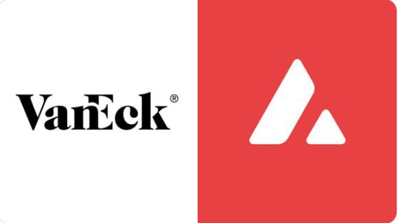 Компания VanEck официально подала заявку S-1 на создание Avalanche ETF.