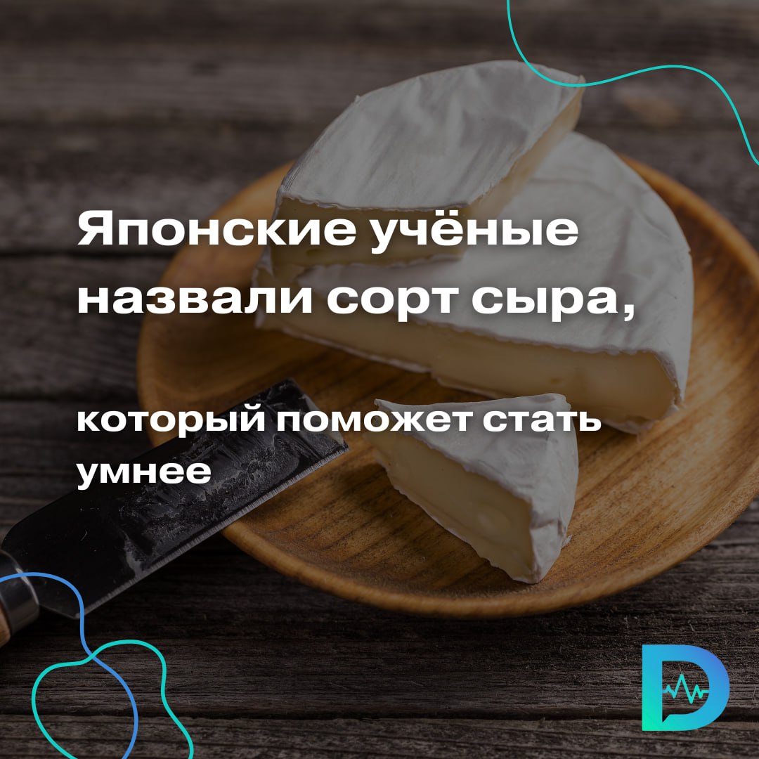 Сыр — это один из самых популярных продуктов во всем мире — он конкурирует с чаем, кофе, шоколадом и чипсами. Только в отличие от последнего снека, сыр полезен: насыщает организм белком, укрепляет иммунитет и помогает пищеварению.  Группа японских учёных из Киотского университета нашла еще один плюс этого продукта: он улучшает когнитивные способности! Но не весь сыр, а только камамбер. Исследование опубликовано в научном журнале Neuroscience Research  NeuroRes .  Эксперимент проводили на мышах. Грызунов разделили на группы: одни мыши ели только продукты с высоким содержанием жиров, другие — продукты с добавлением камамбера или определённых амидов жирных кислот, извлечённых из сыра.  Диета с высоким содержанием жиров была разработана для нарушения когнитивных функций, имитируя состояния, связанные с диетическими рисками нейродегенерации у людей, поясняют исследователи.    Первые результаты эксперты получили уже через неделю. И сыр камамбер, и чистый миристамид, который вырабатывается при изготовлении продукта, улучшили когнитивные функции у мышей. Животные лучше справлялись с задачами на распознавание объектов и пространственную память.  Исследователи предполагают, что дело в необычном составе. Камамбер выделяется среди прочих сыров благодаря ферментации с белой плесенью  Penicillium camemberti . У продукта меняется биохимический профиль, а соединения, которые образуются в сыре, благоприятно влияют на здоровье мозга. В органе запускается рост клеток, которые отвечают за восстановление и формирование памяти.  «Доктор Питер». Доступно и достоверно о здоровье