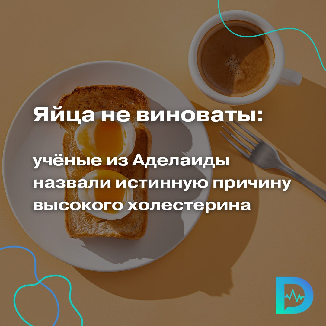 Яйца не повышают уровень холестерина в крови, показало новое небольшое исследование. Настоящий виновник — насыщенные жиры, которые содержатся в жирном мясе, сосисках, беконе, копченостях, колбасе, сливочном масле и фастфуде. К таким выводам пришли авторы исследования из Университета Южной Австралии, Аделаида, опубликованного в июле в журнале The American Journal of Clinical Nutrition. Учёные разделили 61 здорового человека на три группы. В первой люди ели всего одно яйцо в неделю, но много насыщенных жиров. Во второй — два яйца в день, но минимум вредных жиров. В третьей вообще не ели яйца, но употребляли много насыщенных жиров. В итоге у тех, кто ел яйца, уровень «плохого» холестерина ЛПНП снизился. А у тех, кто налегал на насыщенные жиры, — повысился. Более того, у участников, съедавших по два яйца в день в течение пяти недель, уровень холестерина даже улучшился. Не стоит бояться яиц на завтрак. Гораздо опаснее бекон или сосиски, которые часто едят вместе с ними, — говорит доктор Джон Бакли, один из авторов исследования. «Доктор Питер». Доступно и достоверно о здоровье