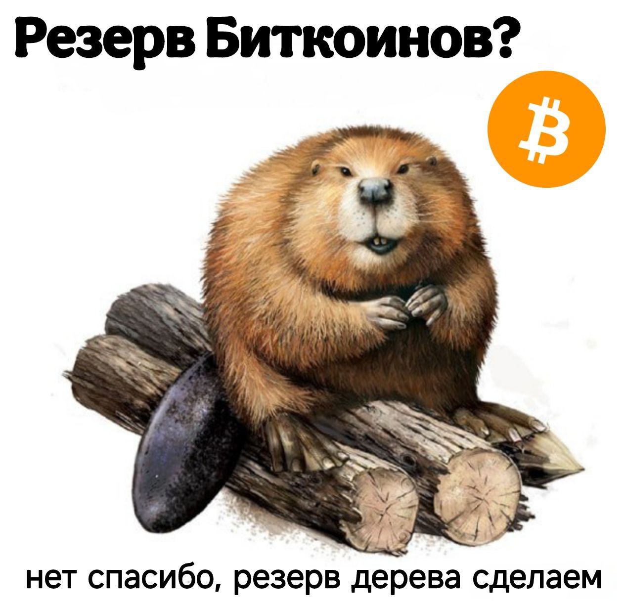 Национальный банк Польши заявил, что не будет держать Bitcoin в своих резервах ни при каких обстоятельствах.  Глава регулятора подчеркнул, что #BTC не соответствует критериям безопасности.