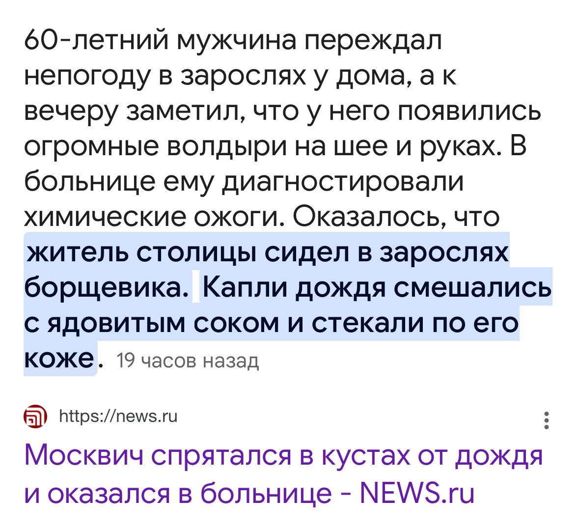 Пару дней назад в СМИ рассказали о случае, когда мужчина получил массированные ожоги после того, как укрывался от дождя в зарослях борщевика Сосновского. Напомню, что сок данного растения ядовит и при контакте с кожей резко снижает её защиту от солнечных лучей. Поэтому ожоги от сока — не химические, а солнечные, и их не будет, если предотвратить облучение. Уточнение для душни... в смысле, любителей точных, но никому не понятных формулировок. В соке содержится не яд, а биологически активное вещество фуранокумарин, которое обладает фототоксичностью и вызывает снижение сенсибилизации к солнечному свету, конкретно ультрафиолетовому излучению спектра UVA 320–400 нм . То есть ещё раз акцентирую, для развития ожогов должен на кожу попасть сок + быть облучение светом. Пасмурная погода или тень защитой не являются. Поэтому если просто прятаться от дождя под листом борщевика, ничего не будет. А вот если в процессе проникновения сквозь заросли повредить любую часть растения, всё-таки будет. Насколько опасна вода, стекающая с неповреждённого листа — большой вопрос. Скорей «нет», чем «да». Но проверять я бы лично не стал. Как не стал бы использовать листья этого растения в качестве туалетной бумаги, несмотря на то, что облучение отчищаемой области — ситуация не частая. Выводы: - Старайтесь не контактировать с борщевиком Сосновского и огородите от него детей. - Если контакт произошёл, немедленно удалите остатки сока сухой тканью или впитывающей бумагой, после чего пару дней данный участок кожи следует ограждать от контактов с солнечными лучами, в том числе и непрямыми. Временную защиту может дать солнцезащитный крем с уровнем SPF не менее 30. Но не забывайте, что «яд» действует до 48 часов, а крем обычно меньше раз в 10–20. - Прятаться под листьями борщевика в дождь может быть опасно. В прошлом году публиковал статью про борщевик. Всё ещё актуальна: