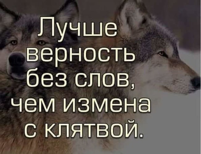 В последние десятилетия ВИЧ-инфекция стала одной из глобальных проблем здравоохранения.    ‍ ‍ ‍ Врач-терапевт Городской клинической больницы №14 Екатеринбурга Пётр Гавриков рассказал, что одним из ключевых аспектов борьбы с ВИЧ-инфекцией являются информирование, верность и благоразумие как важные составляющие в вопросах защиты здоровья.    В прошлом году сотрудники больницы обследовали почти 50 тысяч жителей Орджоникидзевского района и выявили более 80 новых случаев ВИЧ-инфекции. Долгое время ведущей группой по поражённости ВИЧ оставались наркопотребители. Однако сейчас доминирует половой путь передачи данного вируса.  Читаем советы от врача по профилактике и какие методы лечения абсолютно бесплатно доступны уральцам, если всё-таки оступились.